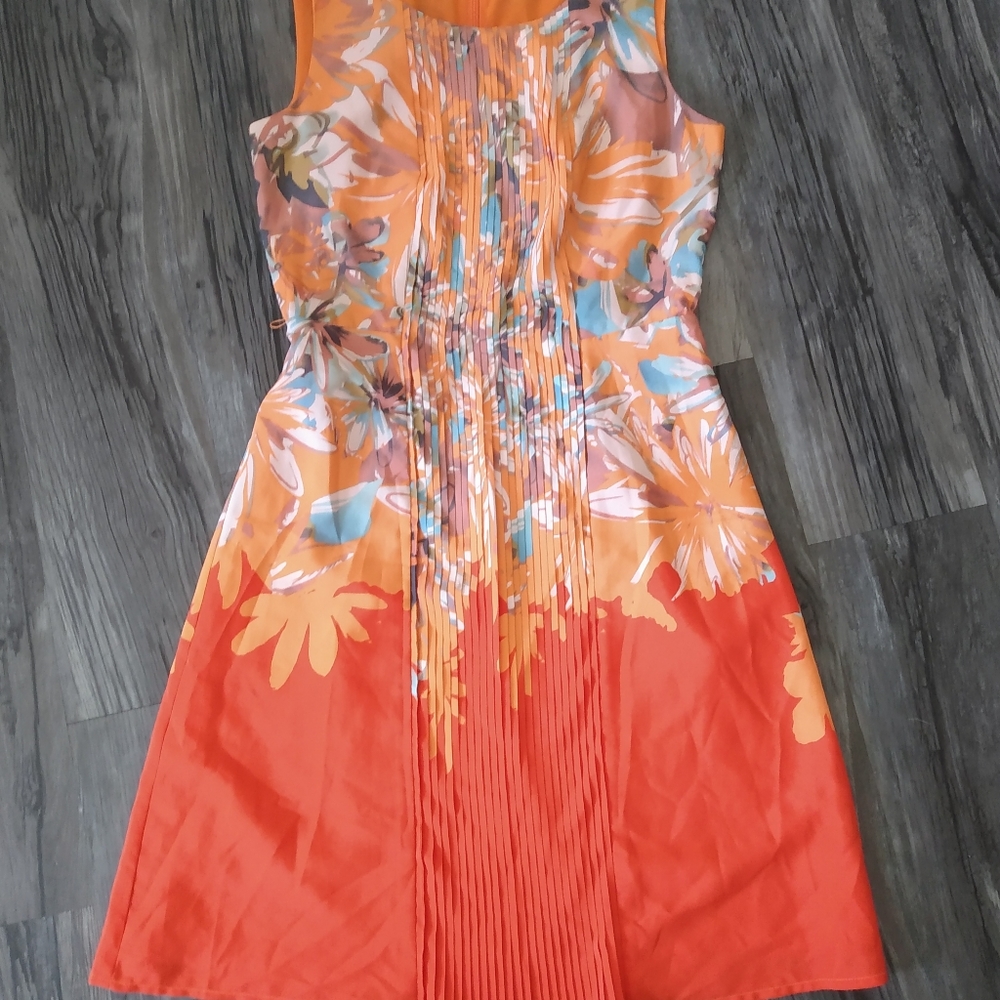 The Limited Dress Size 2